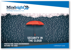 Security in the Cloud LP Image.png